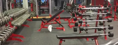 Entreprises 2 image SNAP FITNESS EDMONTON - CALGARY TRAIL Sports & Recreation dans Edmonton AB