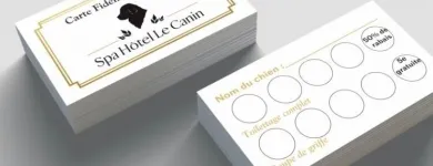 Business 47 image SPA HÔTEL LE CANIN Pet Sitters in Sherbrooke QC