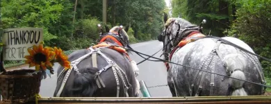 Business 1 image STANLEY PARK HORSE DRAWN TOURS LTD travel & tourism in Vancouver BC