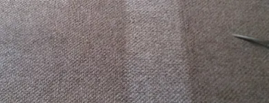 Business 5 image STEAM PLUS CARPET & UPHOLSTERY CLEANING Cleaning Services in Kingston ON