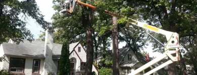 Entreprises 4 image STUMP BUSTERS Tree Work & Forestry Services dans Winnipeg MB