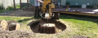 Entreprises 5 image STUMP BUSTERS Tree Work & Forestry Services dans Winnipeg MB