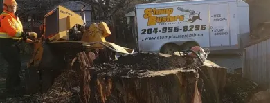 Entreprises 7 image STUMP BUSTERS Tree Work & Forestry Services dans Winnipeg MB