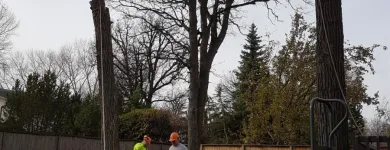 Entreprises 9 image STUMP BUSTERS Tree Work & Forestry Services dans Winnipeg MB