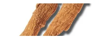 Business 5 image SUN MING HONG CANADA LTD Health Foods & Products in Toronto ON