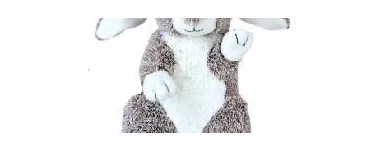 Entreprises 11 image THE BEAR HOUSE Toys & Games Shops dans Red Deer AB