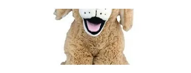 Entreprises 13 image THE BEAR HOUSE Toys & Games Shops dans Red Deer AB