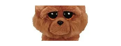 Entreprises 4 image THE BEAR HOUSE Toys & Games Shops dans Red Deer AB