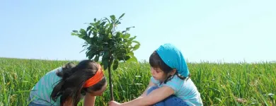 Entreprises 5 image THE CO-OPERATORS - ANGELA ROLO INSURANCE SERVICES INC Legal & Financial Services dans Etobicoke ON