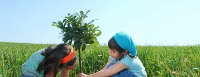 Business 1 image THE CO-OPERATORS Legal & Financial Services in Windsor ON