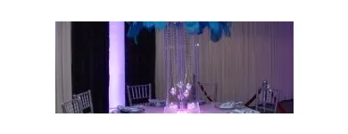 Business 4 image THE MAGNOLIA EVENT BOUTIQUE Wedding Supplies & Services in North York ON
