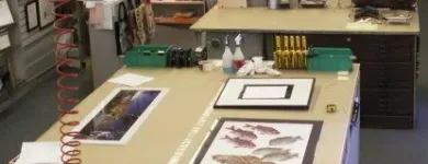 Business 1 image TIME FRAME GALLERY Picture Framing Services in Vancouver BC