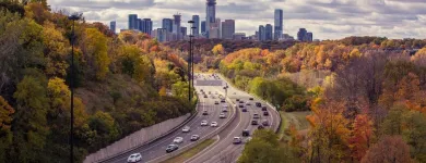 Business 2 image TOP NATION IMMIGRATION SERVICES Legal & Financial Services in Edmonton AB