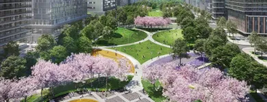 Business 3 image TRANSIT CITY CONDOS Real Estate Agents in Concord ON