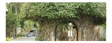 Business 1 image TREE SERVICE NANAIMO Tree Work & Forestry Services in Nanaimo BC