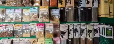 Business 7 image TRIPLE SPIRAL METAPHYSICAL GIFTS Shopping in Victoria BC