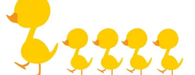 Entreprises 1 image UPTOWN MEDIA MARKETING Web Design & Development dans Halifax NS