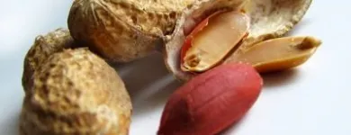 Entreprises 5 image VANCOUVER ALLERGY Homeopaths dans North Vancouver BC