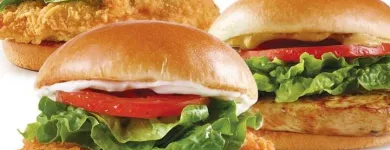 Business 6 image WENDY'S Restaurants in Ottawa ON