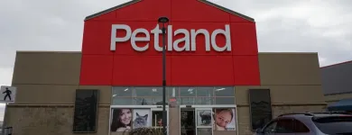 Entreprises 7 image WESTSTAR WALL SYSTEMS LTD Real Estate & Home Improvement dans Calgary AB