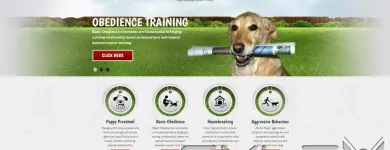 Business 4 image WSI COMANDIX Web Design & Development in Markham ON