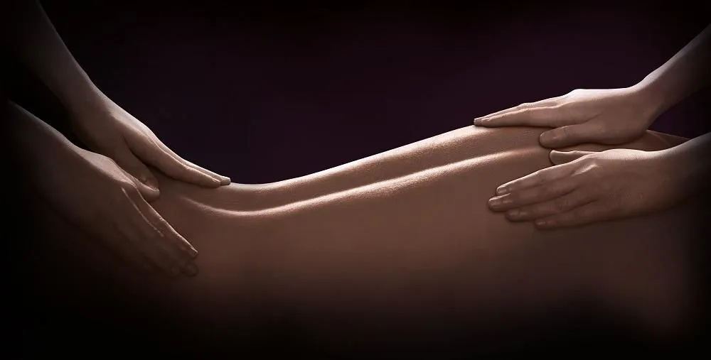 Entreprises 5 image CLUB DYNASTY EXECUTIVE HEALTH SPA