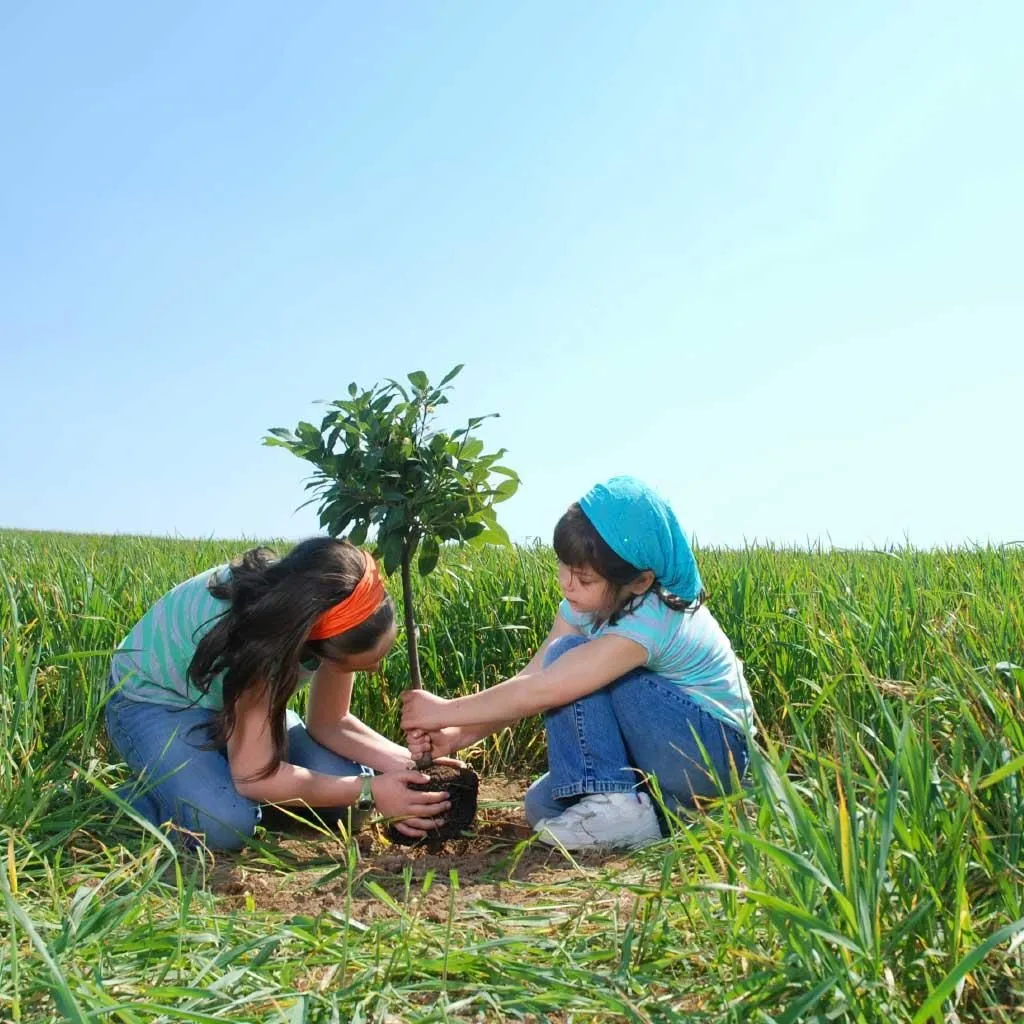 Entreprises 1 image THE CO-OPERATORS