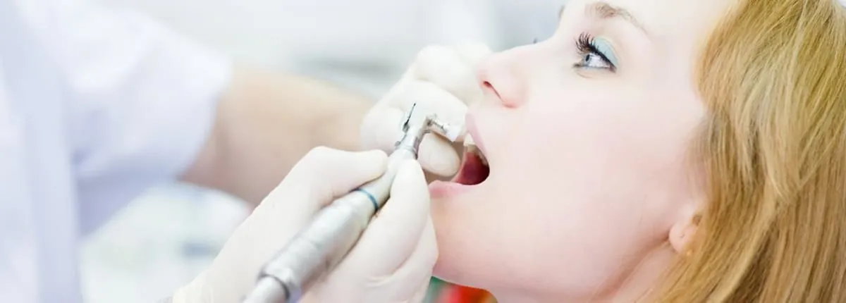 Entreprises 7 image DMD NORTHERN