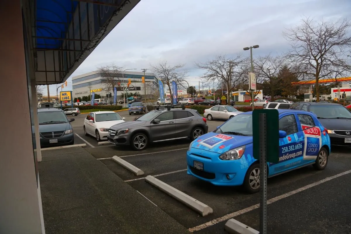 Business 5 image ISLAND VIDEO