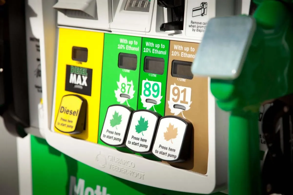 Business 3 image HUSKY