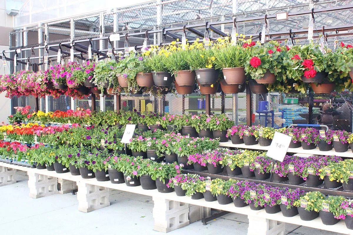 Business 8 image LOWE'S HOME IMPROVEMENT