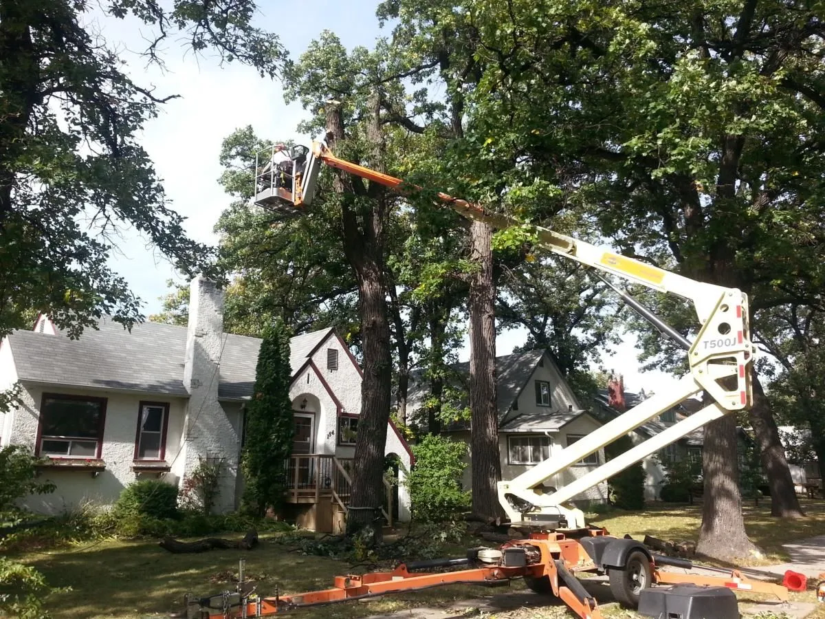 Entreprises 4 image STUMP BUSTERS