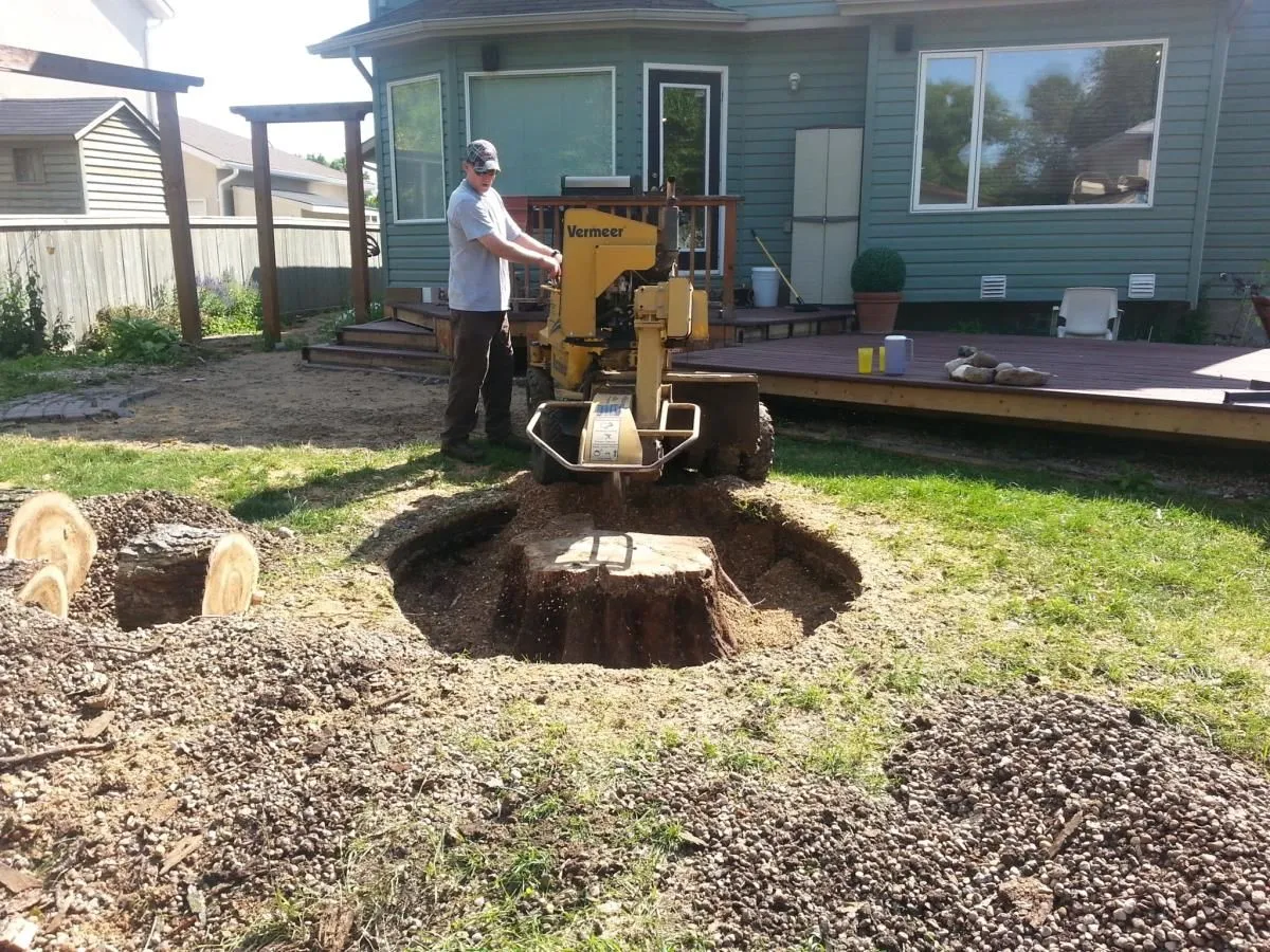 Entreprises 5 image STUMP BUSTERS