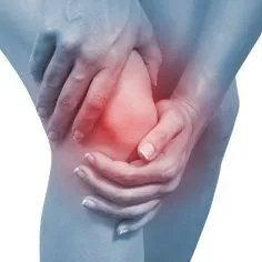 Business 1 image PRO CARE PHYSIOTHERAPY & ATHLETES' INJURY CENTER