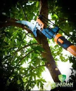 Business 2 image GUARDIAN TREE SERVICES LTD