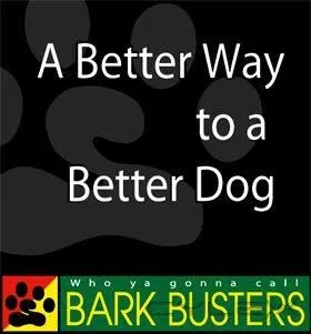 Business 3 image BARK BUSTERS EDMONTON DOG TRAINING