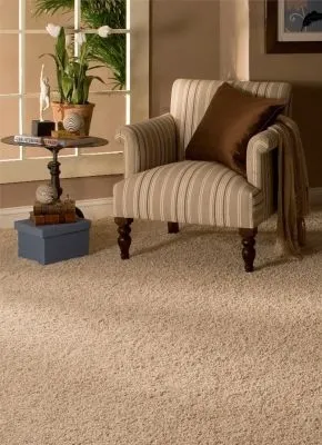 Business 2 image SEARS CARPET & UPHOLSTERY CLEANING