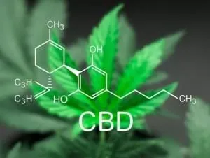 Entreprises 1 image BODYSTREAM MEDICAL CANNABIS CLINICS