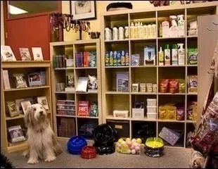 Business 3 image DOGSMART TRAINING & DAYCARE