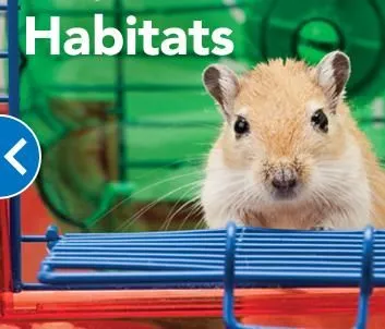 Business 6 image PETSMART