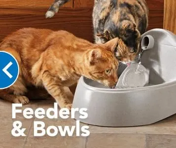 Business 5 image PETSMART