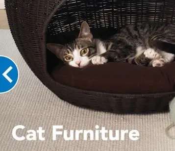 Business 2 image PETSMART