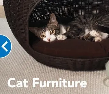 Business 10 image PETSMART