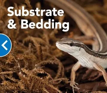 Business 9 image PETSMART