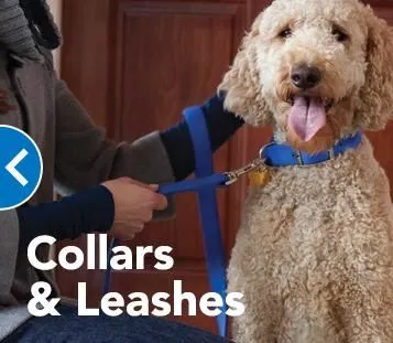 Business 3 image PETSMART