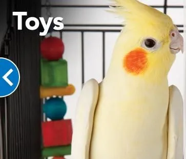 Business 7 image PETSMART