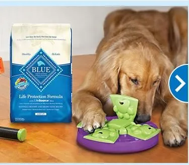 Business 7 image PETSMART