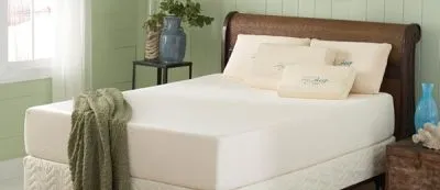 Business 6 image SEARS CARPET & UPHOLSTERY CLEANING