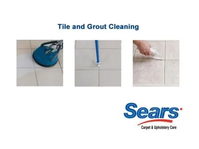 Business 4 image SEARS CARPET & UPHOLSTERY CLEANING
