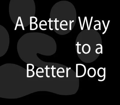 Business 2 image BARK BUSTERS EDMONTON DOG TRAINING